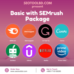 basic package with semrush