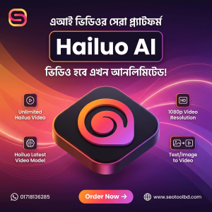 Hailuo Shared Subscription (1)